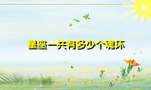 星座一共有多少个魂环