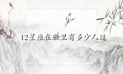 12星座在班里有多少人追