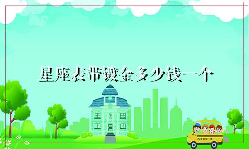 星座表带镀金多少钱一个