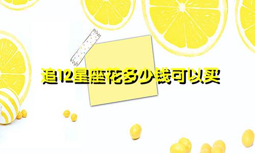追12星座花多少钱可以买