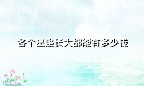 各个星座长大都能有多少钱