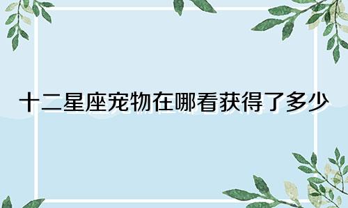 十二星座宠物在哪看获得了多少