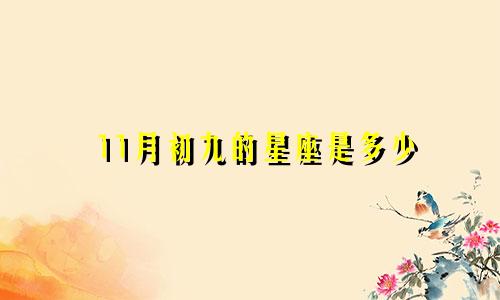 11月初九的星座是多少