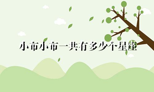 小布小布一共有多少个星座