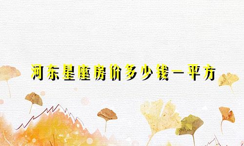 河东星座房价多少钱一平方