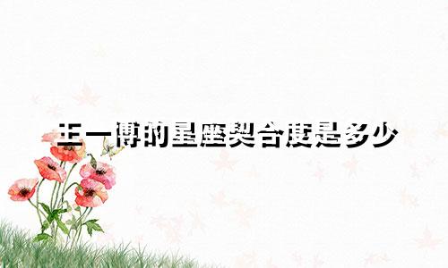 王一博的星座契合度是多少