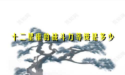 十二星座的战斗力等级是多少