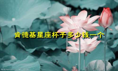 肯德基星座杯子多少钱一个