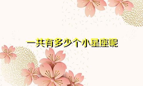 一共有多少个小星座呢