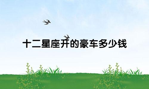 十二星座开的豪车多少钱