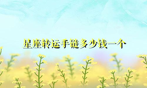星座转运手链多少钱一个
