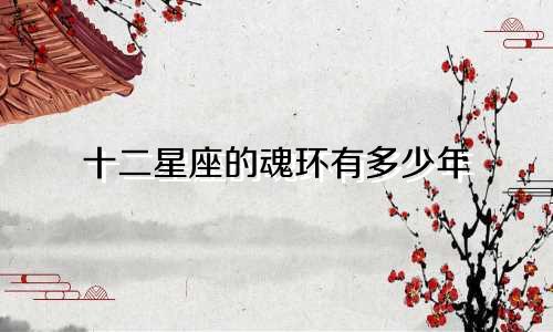十二星座的魂环有多少年