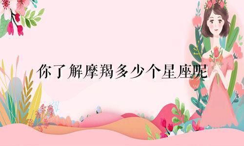 你了解摩羯多少个星座呢