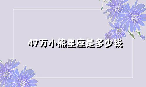 47万小熊星座是多少钱