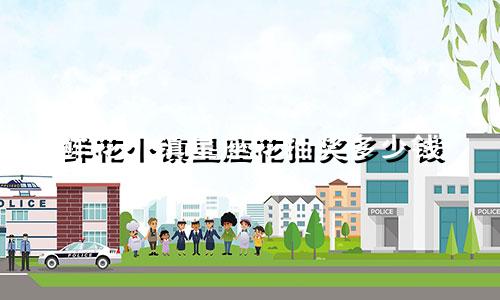 鲜花小镇星座花抽奖多少钱
