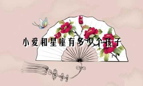 小爱和星座有多少个孩子
