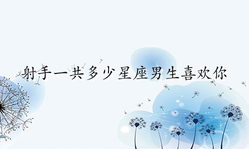 射手一共多少星座男生喜欢你