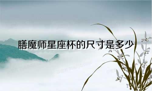 膳魔师星座杯的尺寸是多少