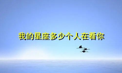 我的星座多少个人在看你
