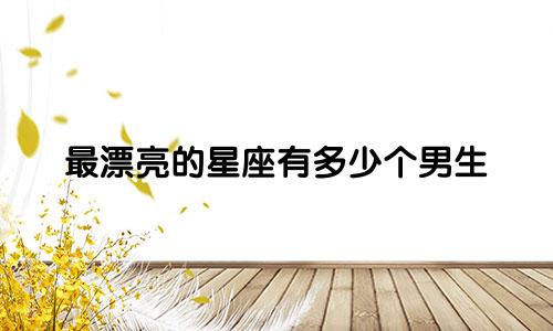 最漂亮的星座有多少个男生