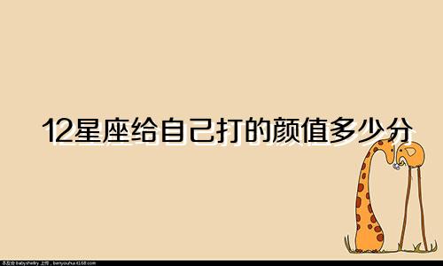 12星座给自己打的颜值多少分