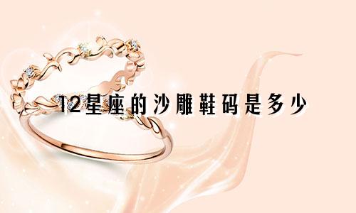 12星座的沙雕鞋码是多少