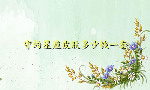 守约星座皮肤多少钱一套