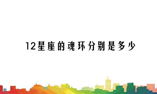 12星座的魂环分别是多少