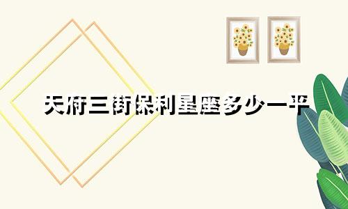 天府三街保利星座多少一平