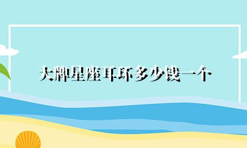 大牌星座耳环多少钱一个