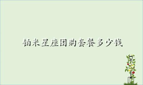 铂米星座团购套餐多少钱