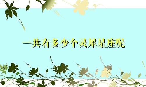 一共有多少个灵犀星座呢