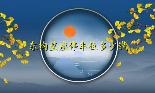 东构星座停车位多少钱