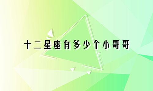 十二星座有多少个小哥哥