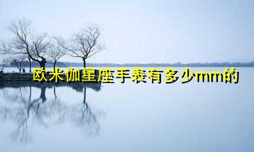 欧米伽星座手表有多少mm的