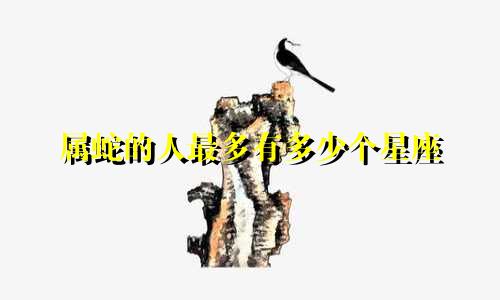 属蛇的人最多有多少个星座