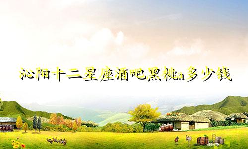 沁阳十二星座酒吧黑桃a多少钱