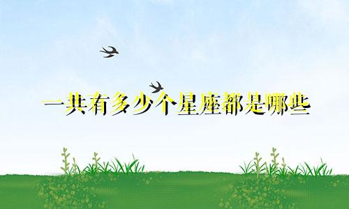 一共有多少个星座都是哪些
