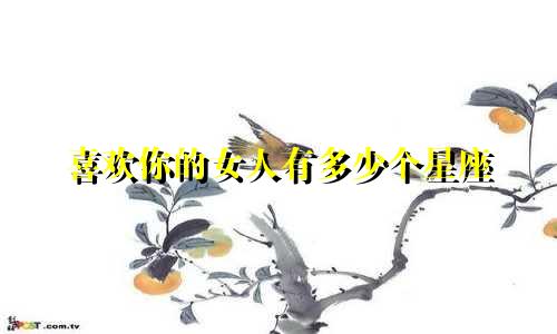 喜欢你的女人有多少个星座