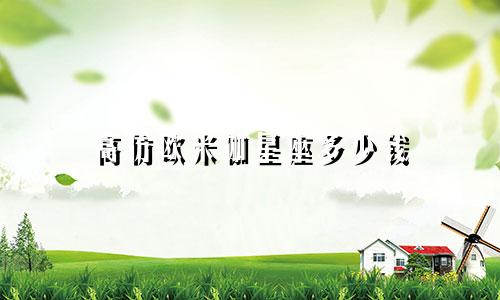 高仿欧米伽星座多少钱