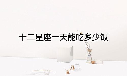 十二星座一天能吃多少饭