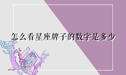 怎么看星座牌子的数字是多少