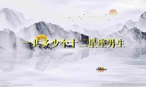 一共多少个十二星座男生