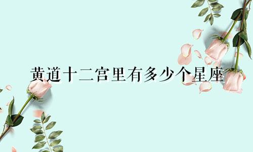 黄道十二宫里有多少个星座