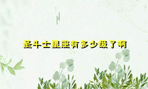 圣斗士星座有多少级了啊
