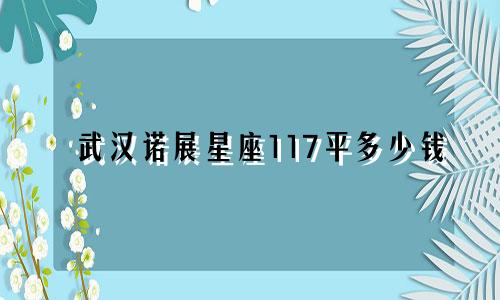 武汉诺展星座117平多少钱