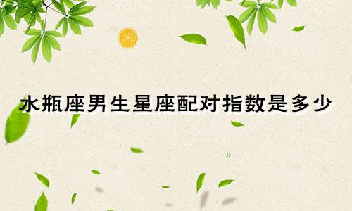 水瓶座男生星座配对指数是多少