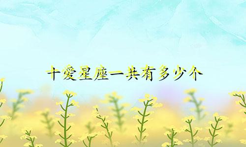 十爱星座一共有多少个