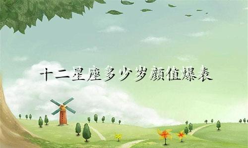 十二星座多少岁颜值爆表