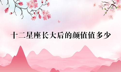 十二星座长大后的颜值值多少